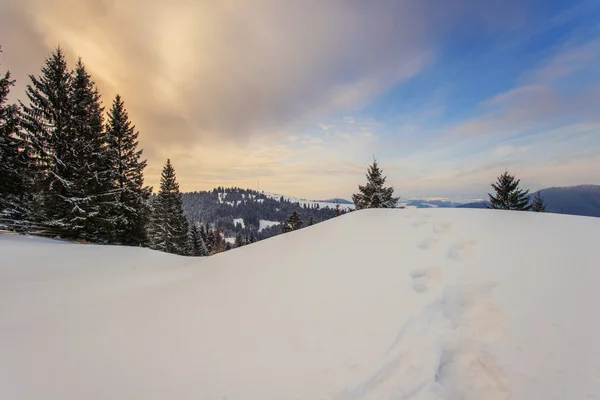 Cárpatos montanhas de inverno — Fotografia de Stock