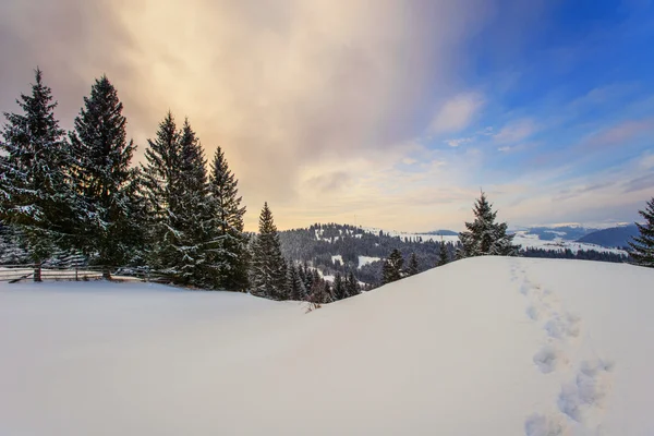 Cárpatos montanhas de inverno — Fotografia de Stock