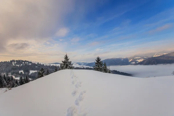 Vinterlandskap — Stockfoto