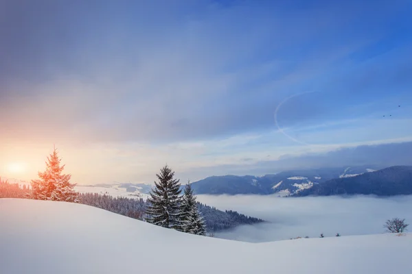 Amanecer de invierno en las montañas Cárpatas — Foto de Stock