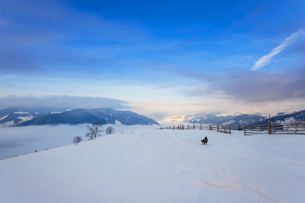 Winterlandschap — Stockfoto