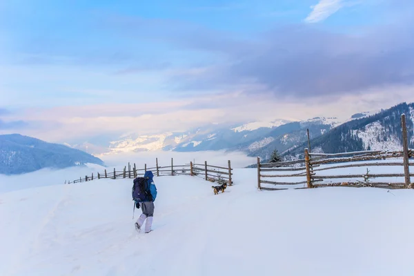 Turista no inverno nas montanhas — Fotografia de Stock