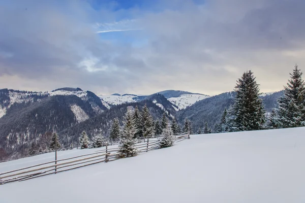 Paisaje invierno —  Fotos de Stock