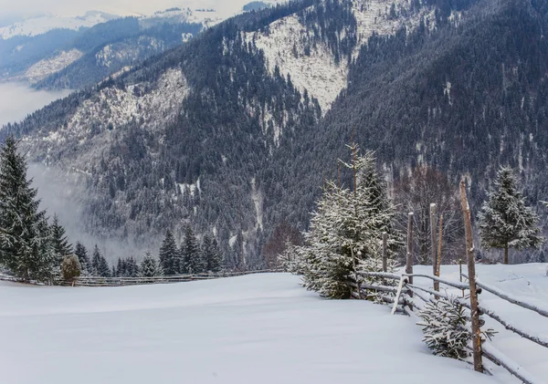 Paisagem inverno — Fotografia de Stock