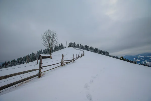 Paesaggio invernale — Foto Stock