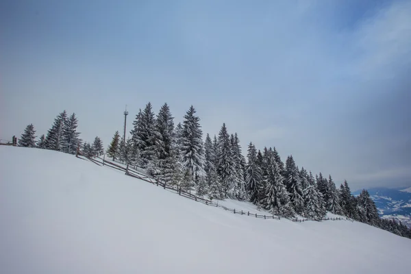 Paesaggio invernale — Foto Stock