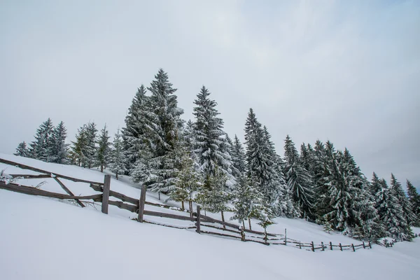 Paesaggio invernale — Foto Stock