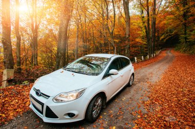 Araba bir orman yolu üzerinde