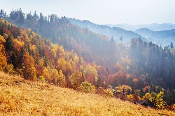 Herfst bergen — Stockfoto
