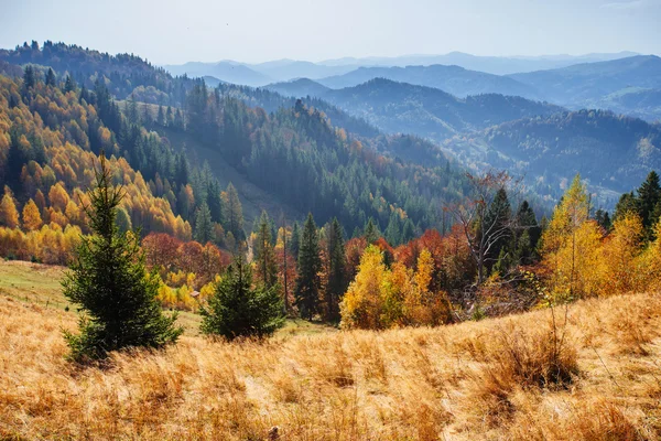 Podzimní hory — Stock fotografie