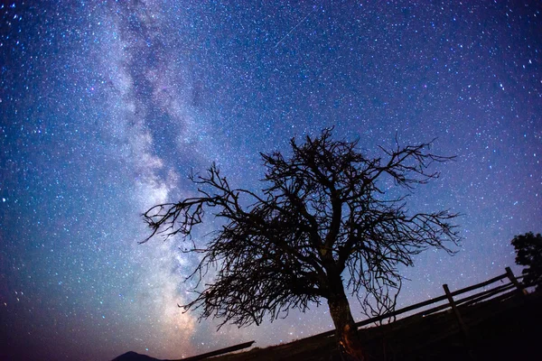 Sternenhimmel — Stockfoto