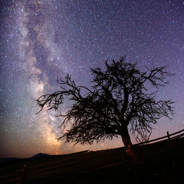 Yıldızlı gökyüzü — Stok fotoğraf