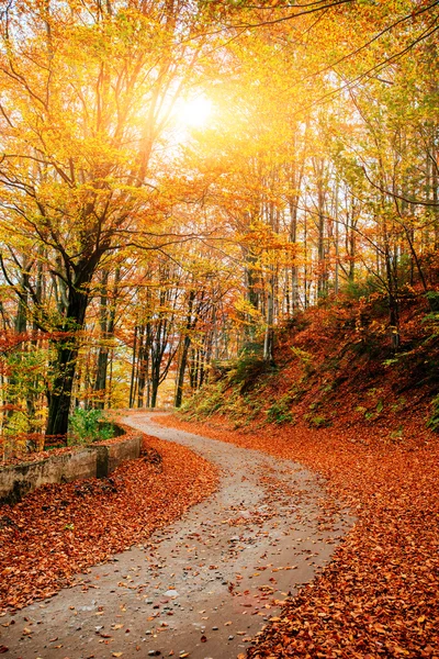 Paisagem de outono — Fotografia de Stock