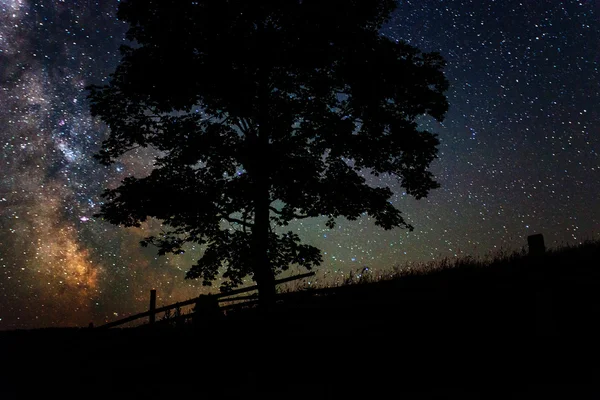 Starry sky — Stock Photo, Image