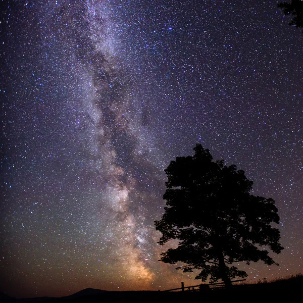 Cielo estrellado — Foto de Stock