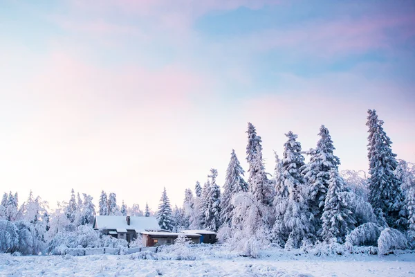 Paisaje invierno —  Fotos de Stock