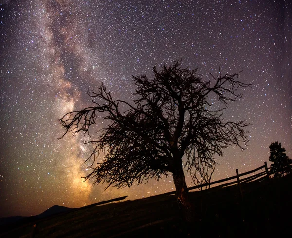 Astrofoto cielo profundo — Foto de Stock