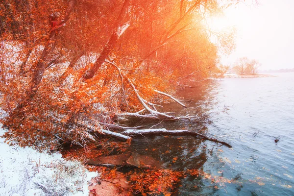 Autumn sunrise — Stock Photo, Image