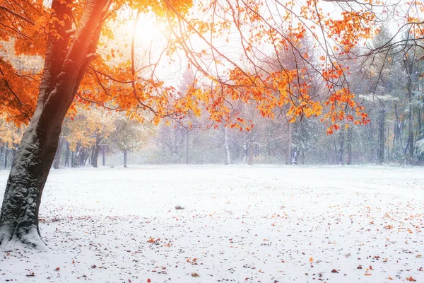 Första dagarna i vinter — Stockfoto