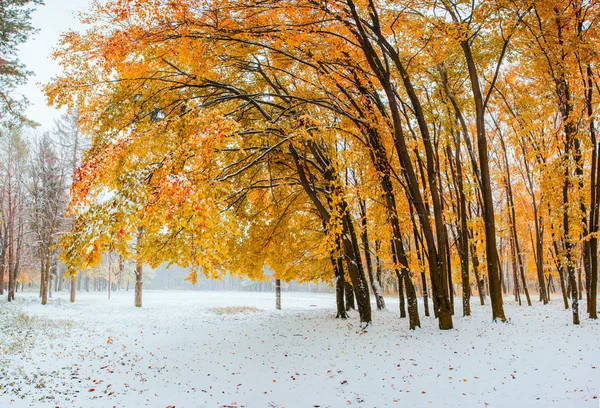 Herbst — Stockfoto