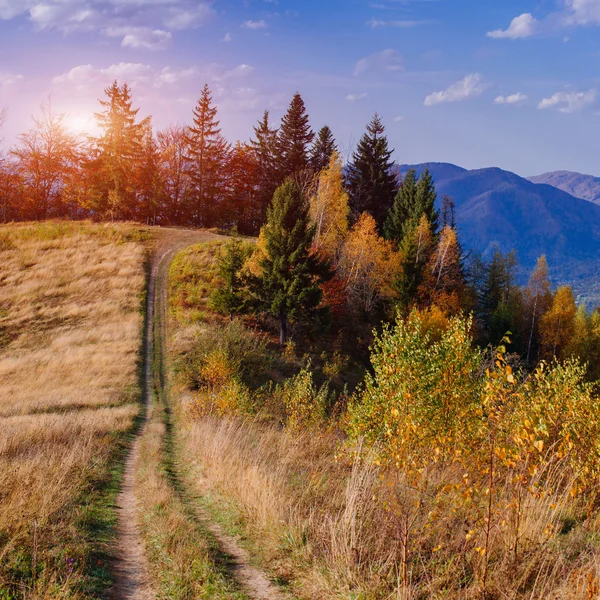 Rock massif in the Carpathians — Stock Photo, Image