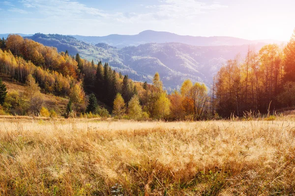 Paisaje otoñal — Foto de Stock