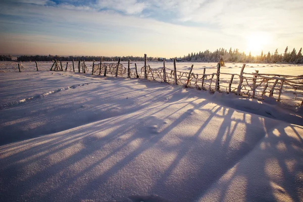 Winterlandschap — Stockfoto