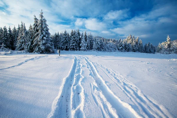 Winterweg — Stockfoto