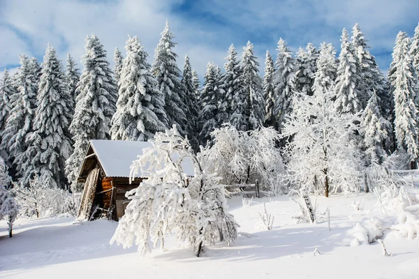 Bela casa de madeira em um dia ensolarado de inverno — Fotografia de Stock