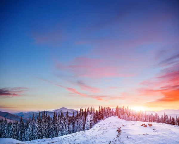 Sonnenuntergang — Stockfoto