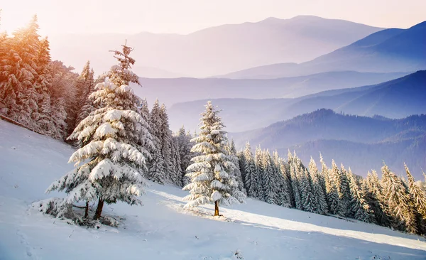 Montanhas cobertas de neve — Fotografia de Stock