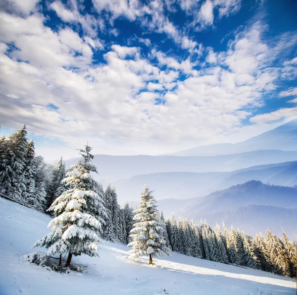 Met sneeuw bedekte bergen — Stockfoto
