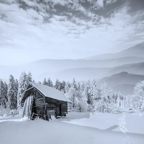 Bergen — Stockfoto