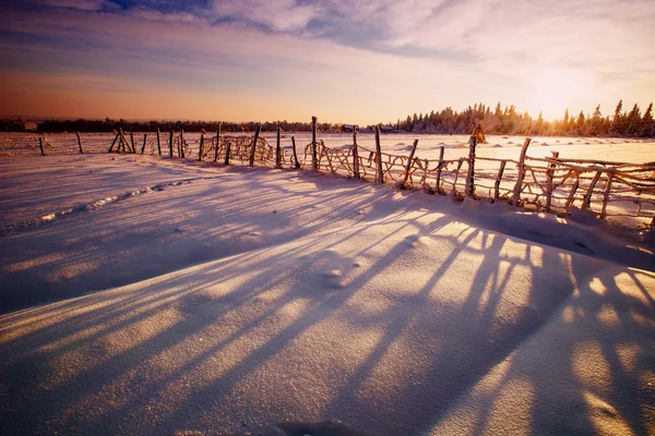 Winter landscape Stock Photo