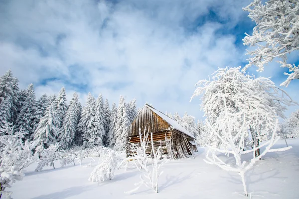 Krásný dřevěný dům v zimě slunečný den — Stock fotografie