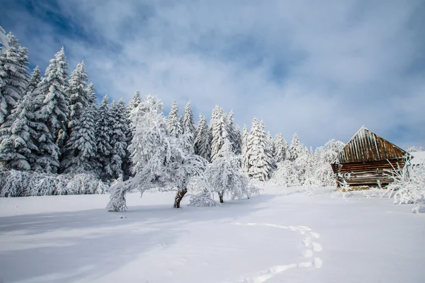 Inverno — Foto Stock