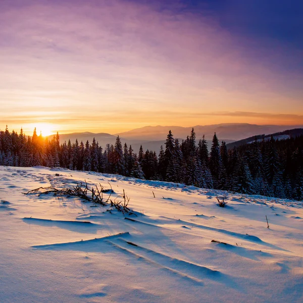 Paisaje invierno —  Fotos de Stock