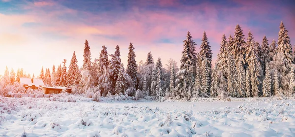 Fjell Karpatene – stockfoto