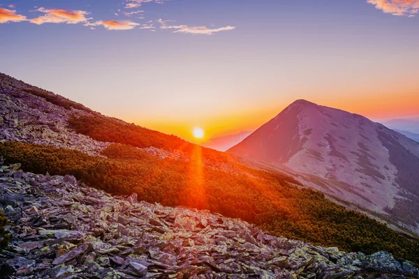 石山 — ストック写真