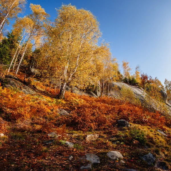 Vaggamassiv i Karpaterna — Stockfoto