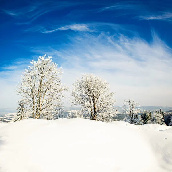 Paisaje invierno — Foto de Stock