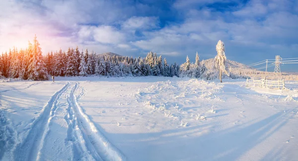 Paesaggio invernale — Foto Stock