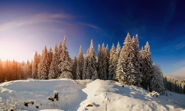 Vinterlandskap — Stockfoto