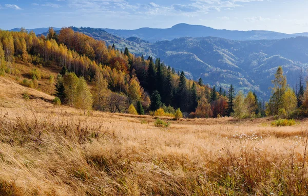 Autumn — Stock Photo, Image