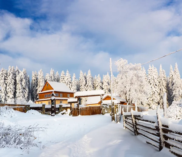 Winterlandschap — Stockfoto