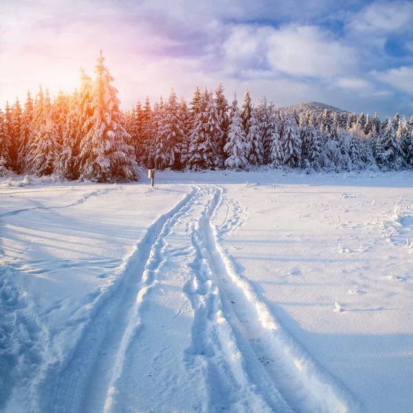 Paisagem inverno — Fotografia de Stock