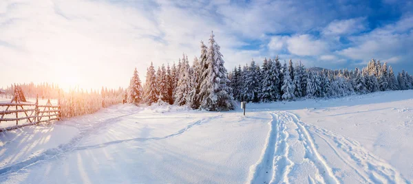 De winter weg — Stockfoto