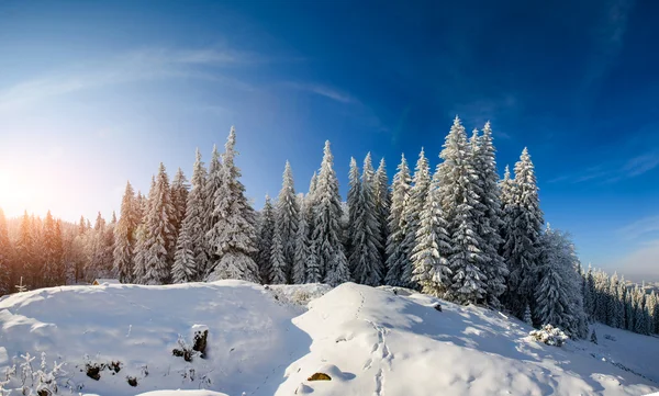 The winter road — Stock Photo, Image