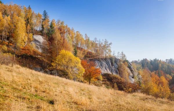 Jesień łąki — Zdjęcie stockowe