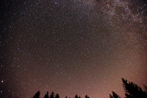 Звездное небо — стоковое фото